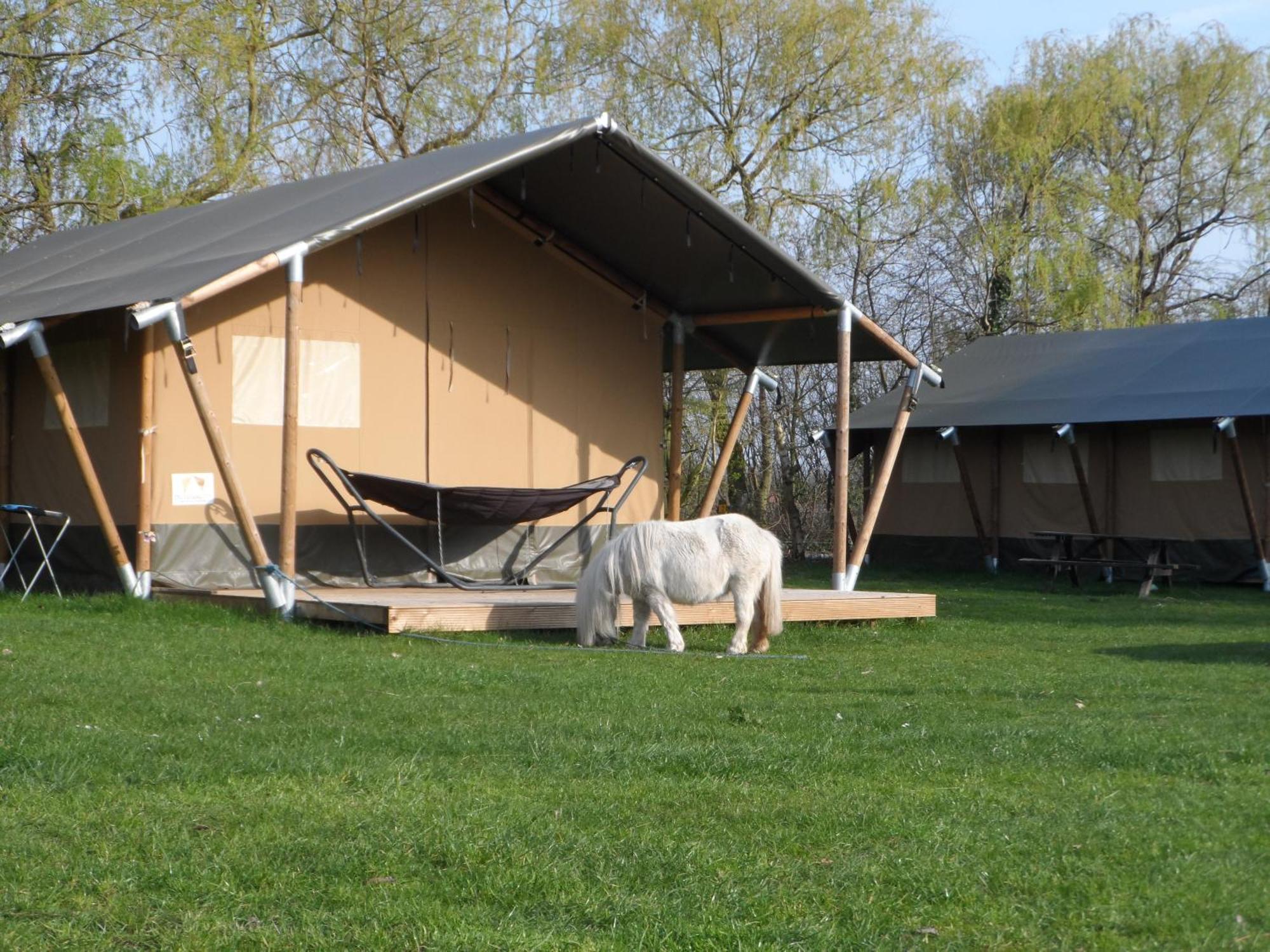 Hoeveheikant Chalets Lage Mierde Buitenkant foto